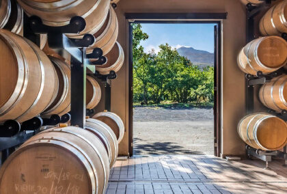 barrels in a cellar overlooking Etna