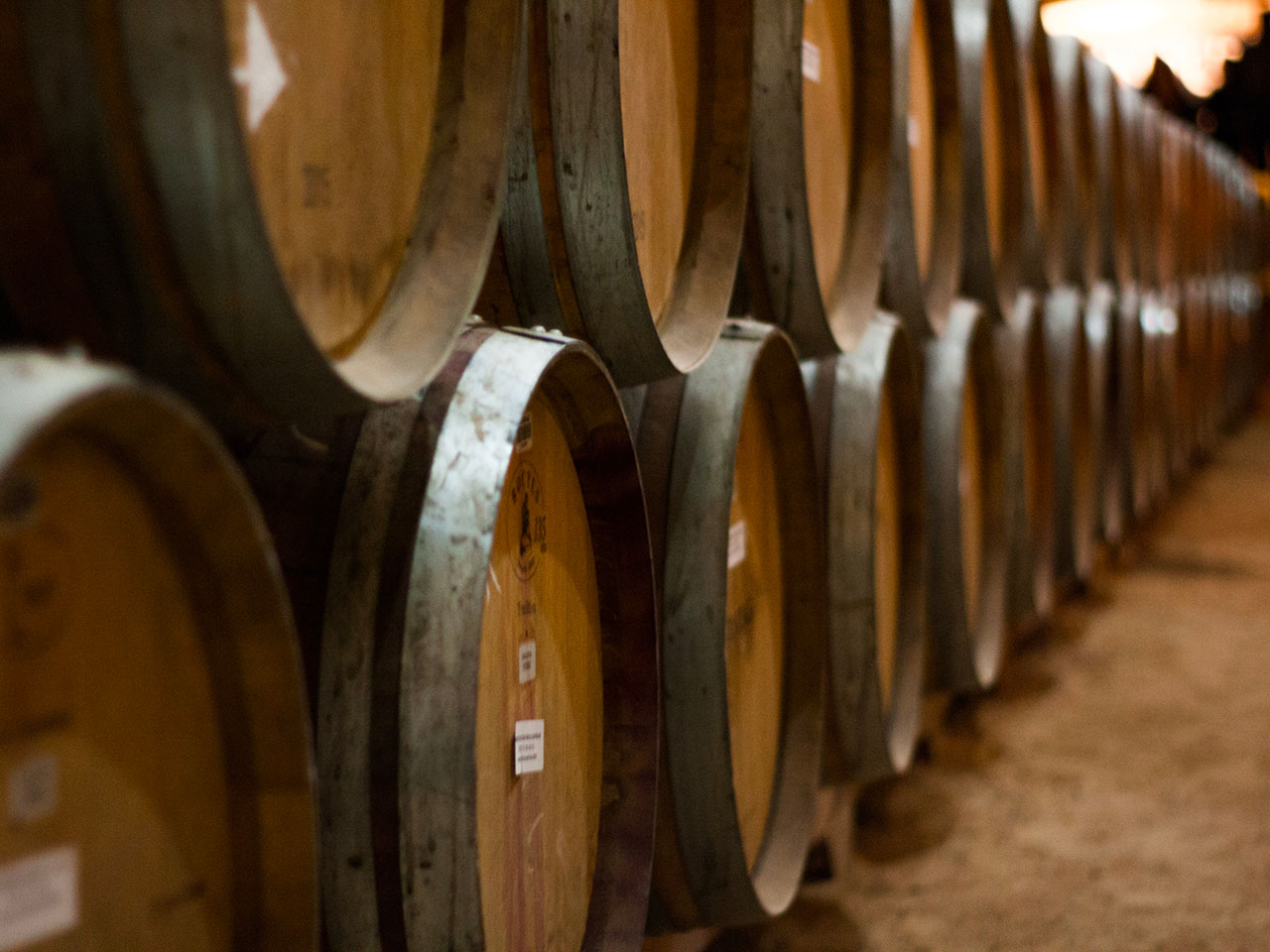 barrels in a cellar