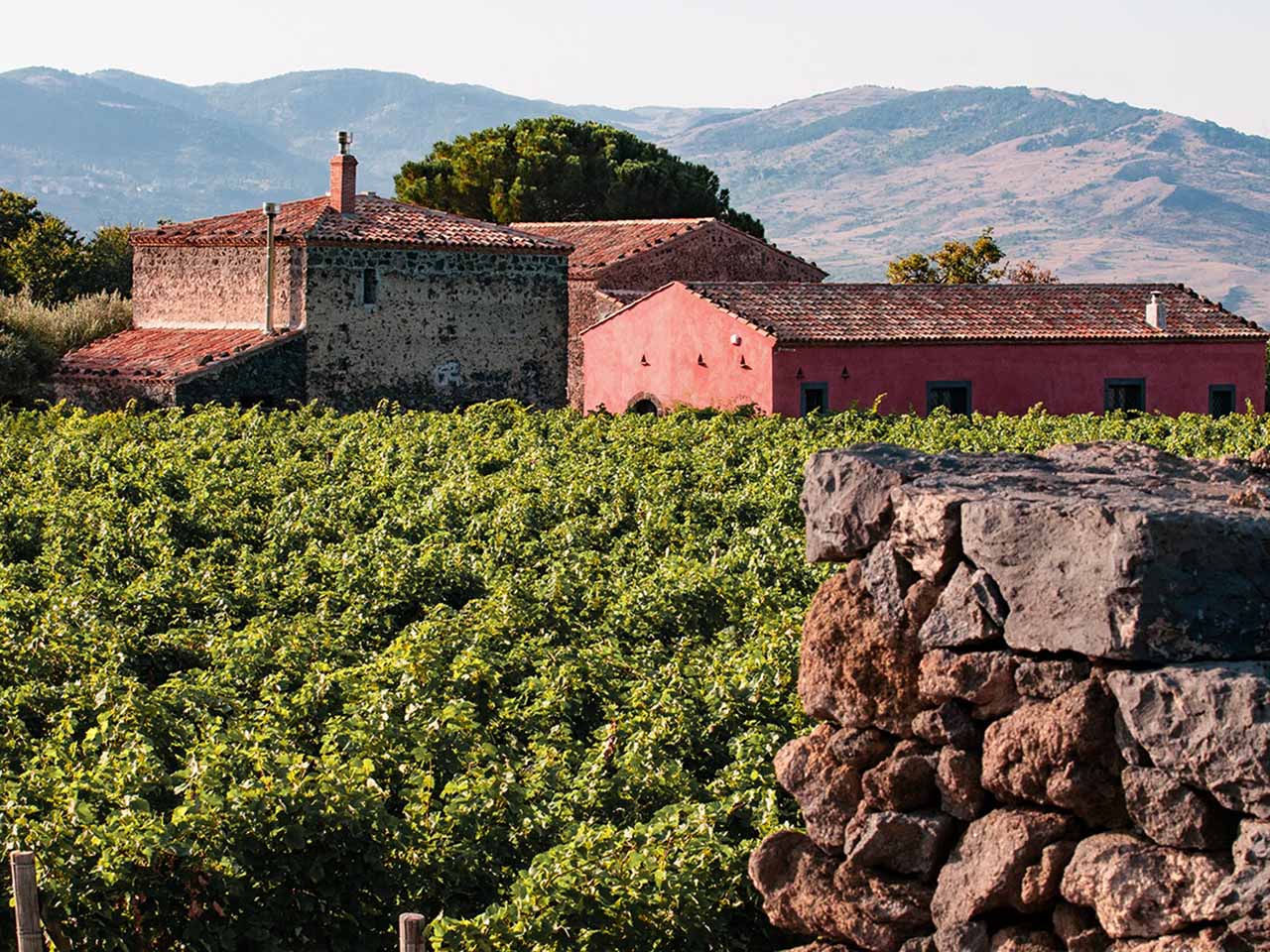 Planeta Sciaranuova estate with vineyard on Etna